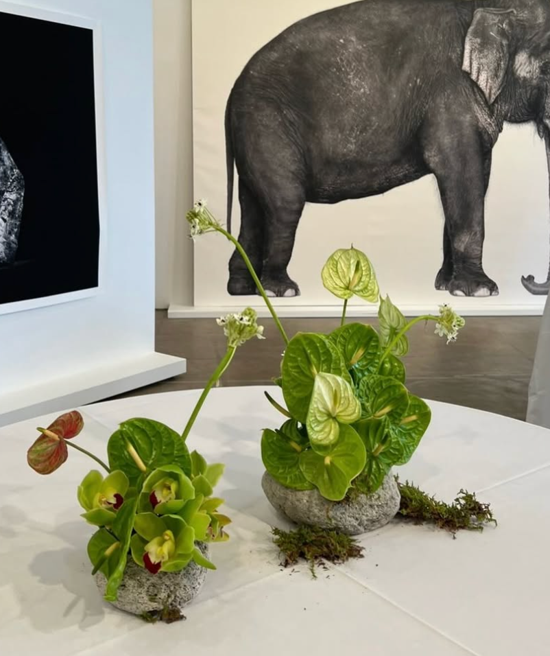 Sculptural floral arrangement at gallery event